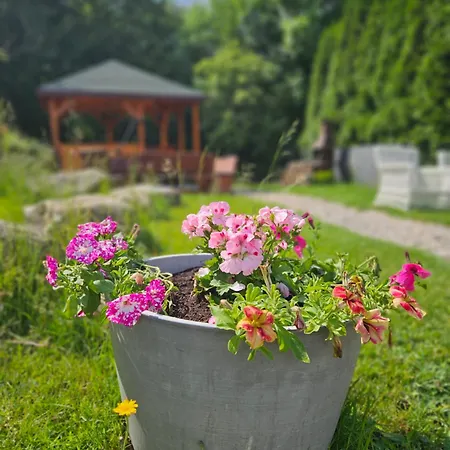 Apartment Centrum Spokoju - Dom W Karkonoszach Zachelmie (Jelenia Gora)