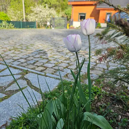 Centrum Spokoju - Dom W Karkonoszach * Zachelmie (Jelenia Gora)
