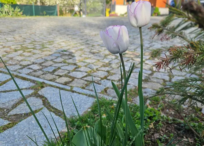 Centrum Spokoju - Dom W Karkonoszach * Zachelmie (Jelenia Gora)